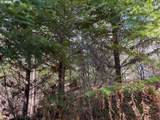 0 Boiler Creek Rd - Photo 17