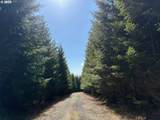0 Boiler Creek Rd - Photo 19