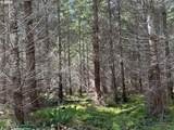 0 Boiler Creek Rd - Photo 20