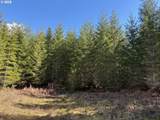 0 Boiler Creek Rd - Photo 21