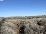  Christmas Valley Hwy - Photo 11