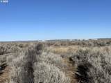  Christmas Valley Hwy - Photo 12