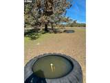 25405 Bear Creek Rd - Photo 40