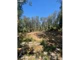 9631 Skyline Blvd - Photo 10