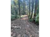 9631 Skyline Blvd - Photo 11