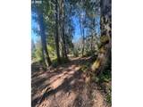 9631 Skyline Blvd - Photo 12