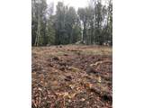 9631 Skyline Blvd - Photo 16