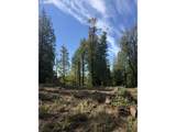 9631 Skyline Blvd - Photo 3