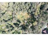 9631 Skyline Blvd - Photo 5