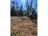 9631 Skyline Blvd - Photo 8