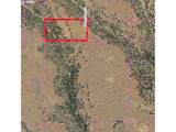 43 Wanna B A Ranch Rd - Photo 48