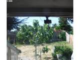 877 Pacific Ave - Photo 28