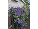 10907 88TH St - Photo 31