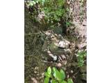 58994 Upper Imnaha Rd - Photo 26
