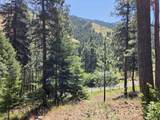 58994 Upper Imnaha Rd - Photo 30