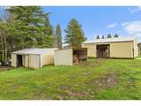 34142 Johnson School Rd - Photo 34