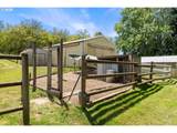 34142 Johnson School Rd - Photo 35