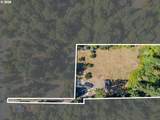 11519 Laidlaw Rd - Photo 3