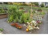 11102 Berlin Ave - Photo 41