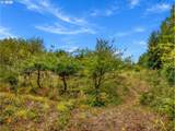 12905 Alley - Photo 29