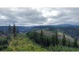 37489 Highway 224 - Photo 2