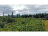 37489 Highway 224 - Photo 3