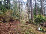 3117 Tenmile - Photo 26