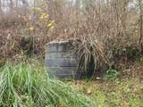 3117 Tenmile - Photo 29