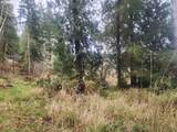 3117 Tenmile - Photo 33