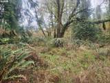 3117 Tenmile - Photo 34