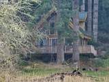 3117 Tenmile - Photo 6