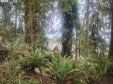 3117 Tenmile - Photo 7