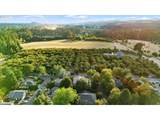 30950 Willamette Way - Photo 45