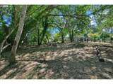 1 Storey Blvd - Photo 13