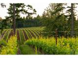 30460 Bell Rd - Photo 36