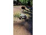 1097 Lees Creek Rd - Photo 41