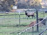 89009 Condon Creek Rd - Photo 30