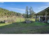 89009 Condon Creek Rd - Photo 36