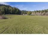 89009 Condon Creek Rd - Photo 43