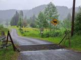 89009 Condon Creek Rd - Photo 46