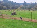 89009 Condon Creek Rd - Photo 47