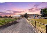 3099 Williams Way - Photo 47