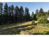 26487 Rein Rd - Photo 43