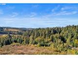 37251 Thimbleberry Dr - Photo 12