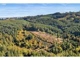 37251 Thimbleberry Dr - Photo 4