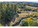 37251 Thimbleberry Dr - Photo 6