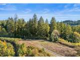 37251 Thimbleberry Dr - Photo 8