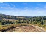 37251 Thimbleberry Dr - Photo 9