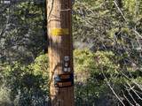  Hummingbird Dr - Photo 10