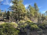  Hummingbird Dr - Photo 4
